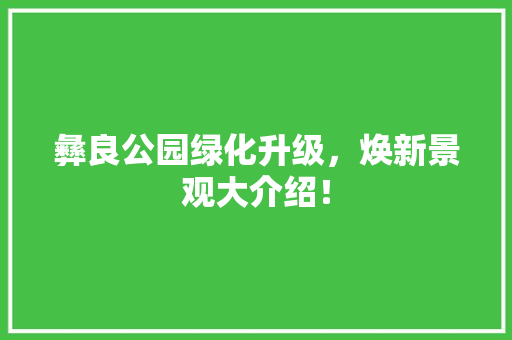 彝良公园绿化升级，焕新景观大介绍！