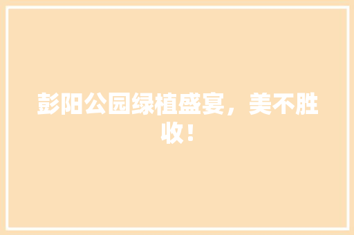 彭阳公园绿植盛宴，美不胜收！