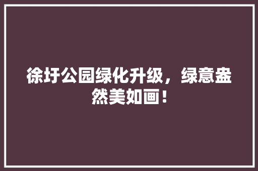 徐圩公园绿化升级，绿意盎然美如画！