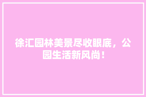 徐汇园林美景尽收眼底，公园生活新风尚！