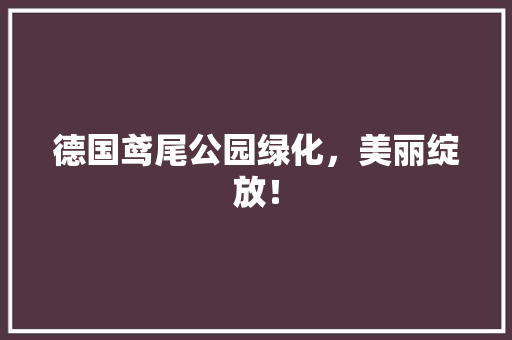 德国鸢尾公园绿化，美丽绽放！