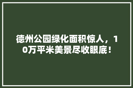 德州公园绿化面积惊人，10万平米美景尽收眼底！