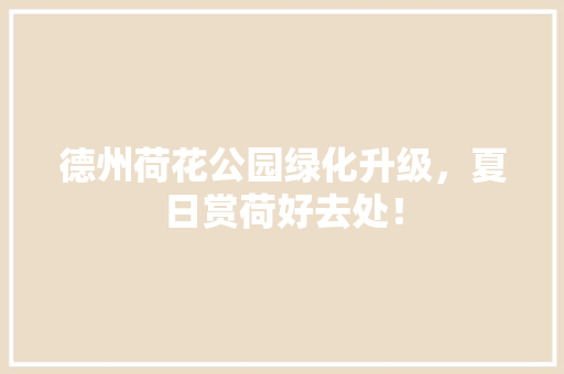 德州荷花公园绿化升级，夏日赏荷好去处！