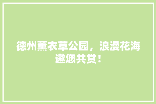 德州薰衣草公园，浪漫花海邀您共赏！