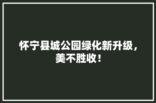 怀宁县城公园绿化新升级，美不胜收！