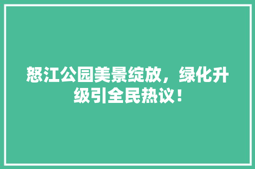 怒江公园美景绽放，绿化升级引全民热议！