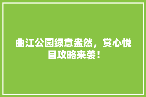 曲江公园绿意盎然，赏心悦目攻略来袭！