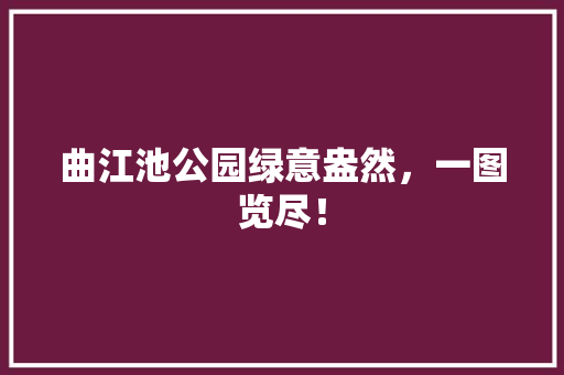 曲江池公园绿意盎然，一图览尽！