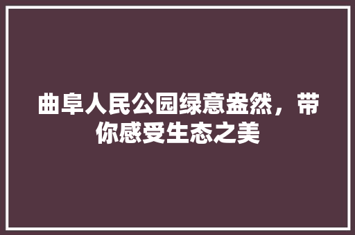 曲阜人民公园绿意盎然，带你感受生态之美