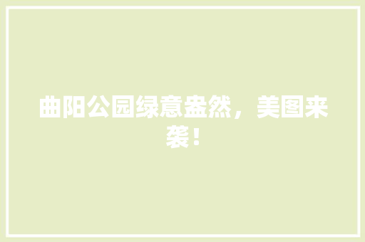 曲阳公园绿意盎然，美图来袭！