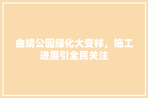 曲靖公园绿化大变样，施工进展引全民关注