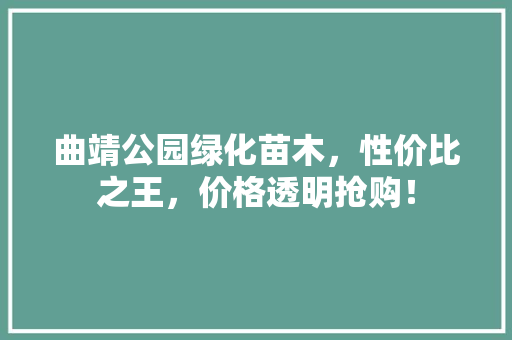 曲靖公园绿化苗木，性价比之王，价格透明抢购！