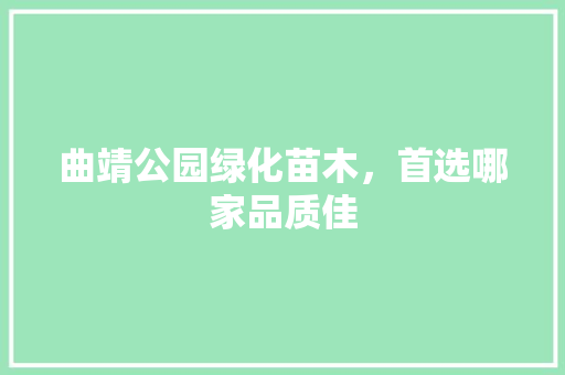 曲靖公园绿化苗木，首选哪家品质佳