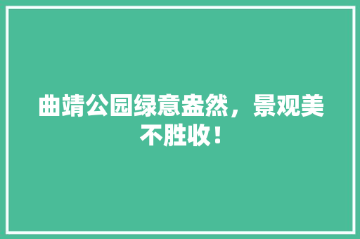 曲靖公园绿意盎然，景观美不胜收！