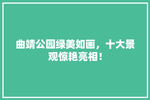曲靖公园绿美如画，十大景观惊艳亮相！