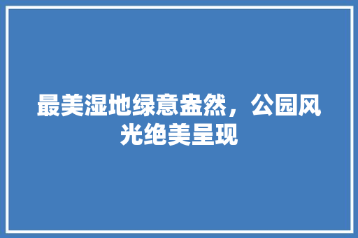最美湿地绿意盎然，公园风光绝美呈现