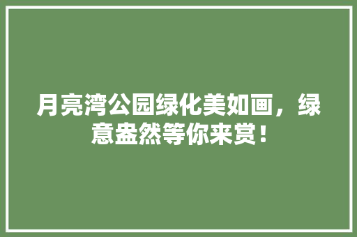 月亮湾公园绿化美如画，绿意盎然等你来赏！