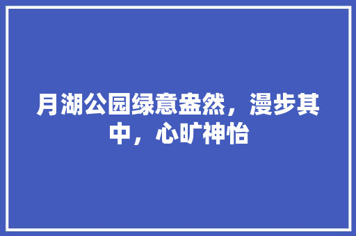 月湖公园绿意盎然，漫步其中，心旷神怡