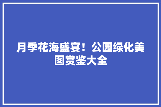 月季花海盛宴！公园绿化美图赏鉴大全