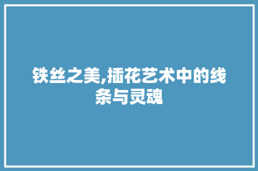 铁丝之美,插花艺术中的线条与灵魂