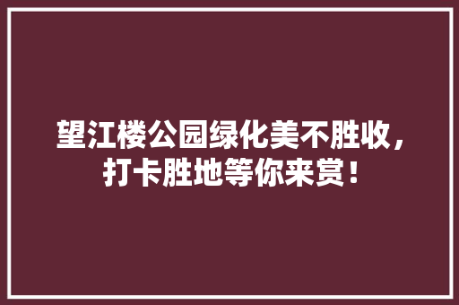 望江楼公园绿化美不胜收，打卡胜地等你来赏！