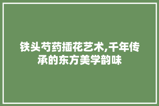 铁头芍药插花艺术,千年传承的东方美学韵味