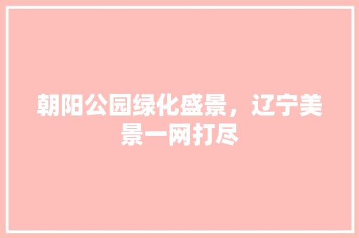 朝阳公园绿化盛景，辽宁美景一网打尽