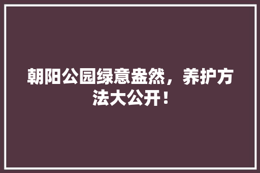 朝阳公园绿意盎然，养护方法大公开！