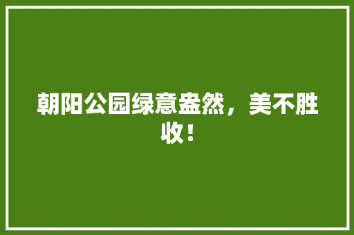 朝阳公园绿意盎然，美不胜收！
