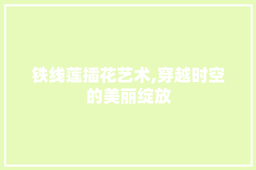 铁线莲插花艺术,穿越时空的美丽绽放