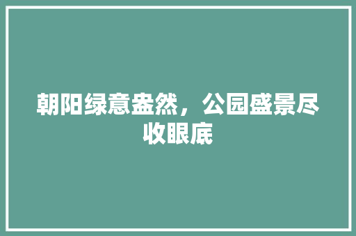 朝阳绿意盎然，公园盛景尽收眼底