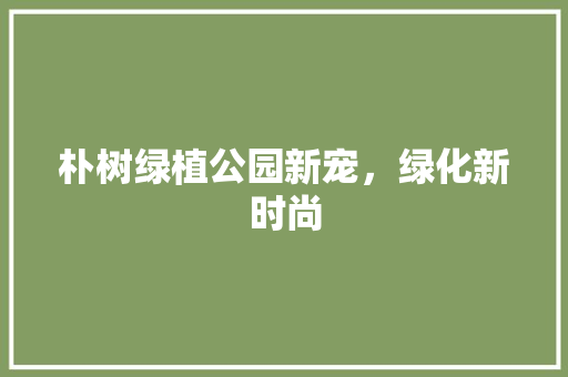 朴树绿植公园新宠，绿化新时尚