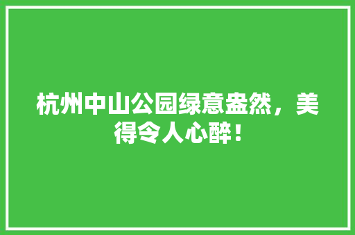 杭州中山公园绿意盎然，美得令人心醉！