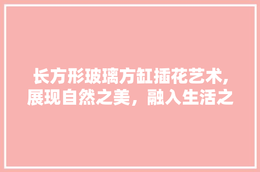 长方形玻璃方缸插花艺术,展现自然之美，融入生活之美
