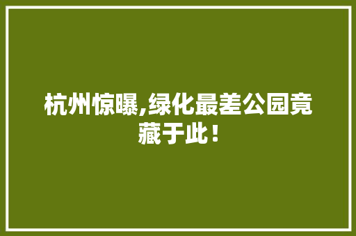 杭州惊曝,绿化最差公园竟藏于此！