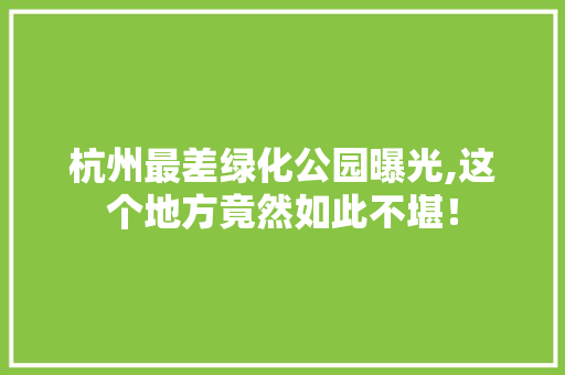 杭州最差绿化公园曝光,这个地方竟然如此不堪！