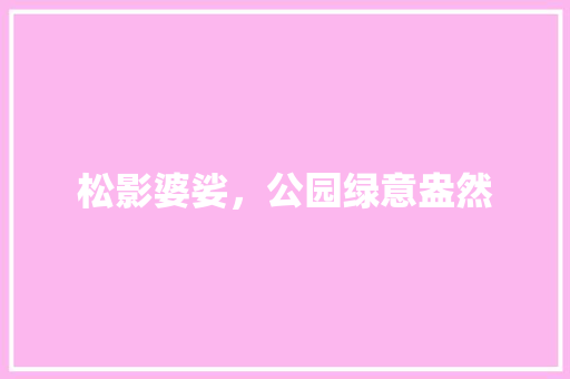 松影婆娑，公园绿意盎然