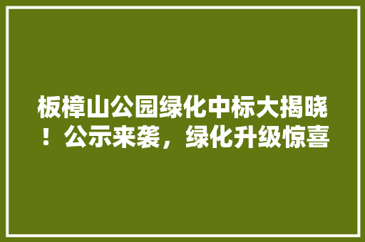 板樟山公园绿化中标大揭晓！公示来袭，绿化升级惊喜不断！
