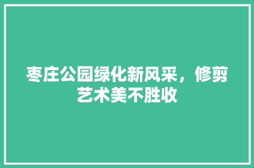 枣庄公园绿化新风采，修剪艺术美不胜收