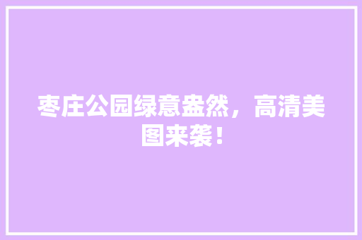 枣庄公园绿意盎然，高清美图来袭！
