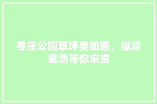 枣庄公园草坪美如画，绿意盎然等你来赏