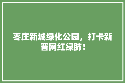 枣庄新城绿化公园，打卡新晋网红绿肺！