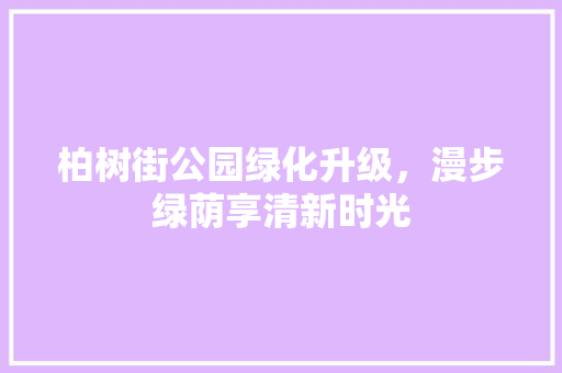 柏树街公园绿化升级，漫步绿荫享清新时光