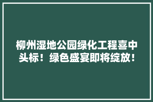 柳州湿地公园绿化工程喜中头标！绿色盛宴即将绽放！