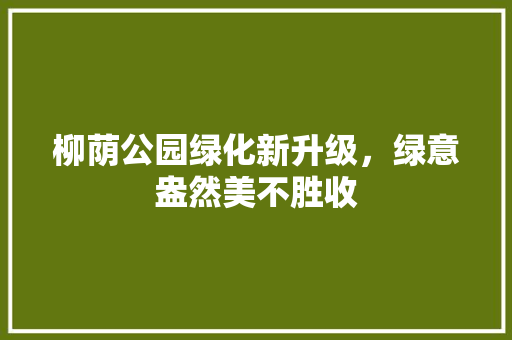 柳荫公园绿化新升级，绿意盎然美不胜收