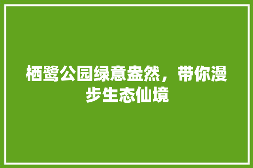 栖鹭公园绿意盎然，带你漫步生态仙境