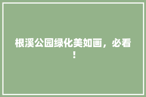 根溪公园绿化美如画，必看！