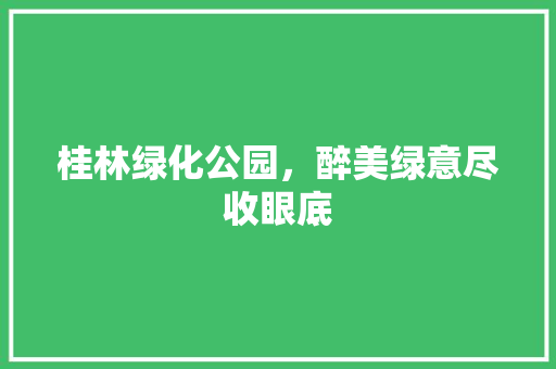 桂林绿化公园，醉美绿意尽收眼底
