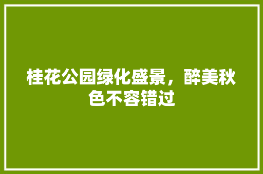 桂花公园绿化盛景，醉美秋色不容错过