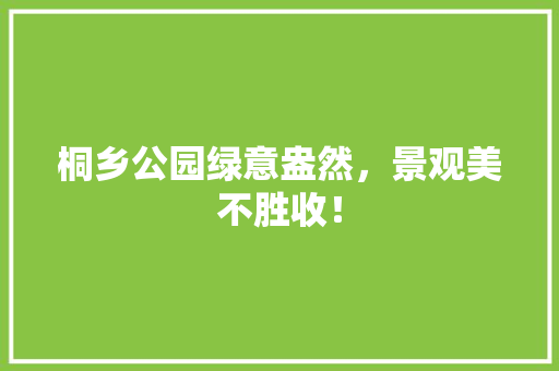 桐乡公园绿意盎然，景观美不胜收！